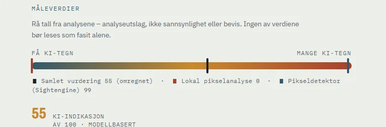 Måleverdier i Bildesjekk: samlet vurdering 55, lokal pikselanalyse 0 og pikseldetektor Sightengine 99 på samme skala